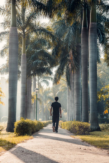 Rear view of man walking on palm trees