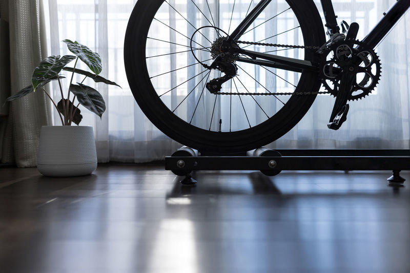 Close-up of bicycle on potted plant on table