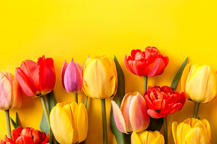 yellow