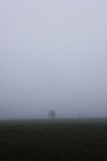 Scenic view of landscape during foggy weather