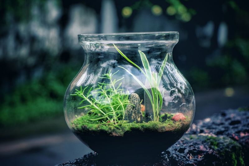 Close-up of glass jar on land