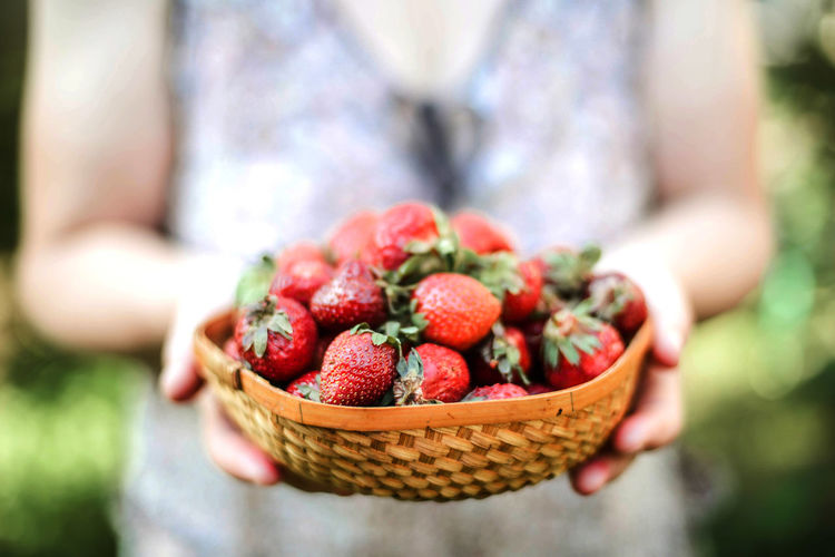 Close-up of hand holding strawberries in basket