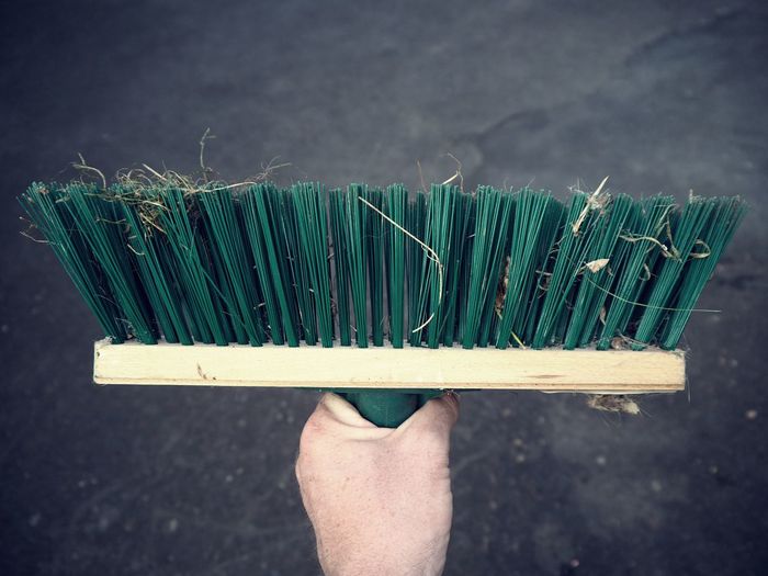 Low section of person holding leaf