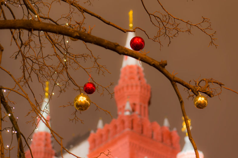 Shiny baubles hanging from bare tree against church at dusk