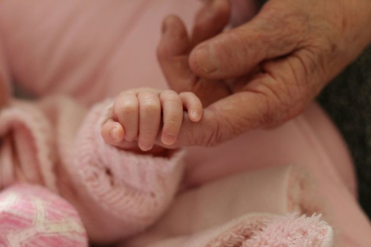 Cropped image of baby holding finger of grandmother