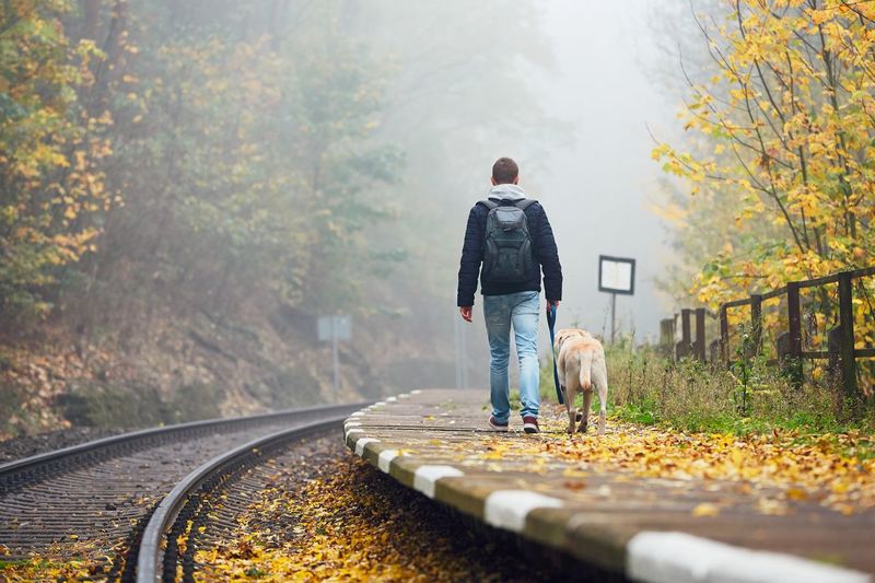 Rear view of man walking with dog on railroad station platform during autumn