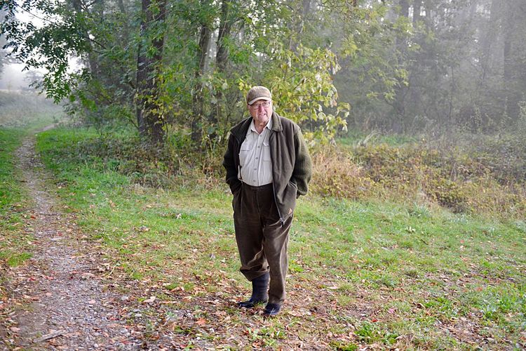 Senior man standing in forest