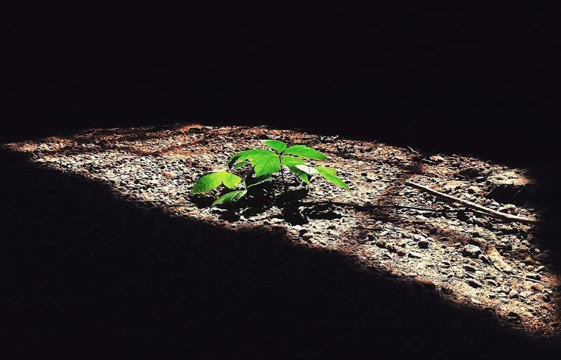 Close-up of illuminated lamp over black background