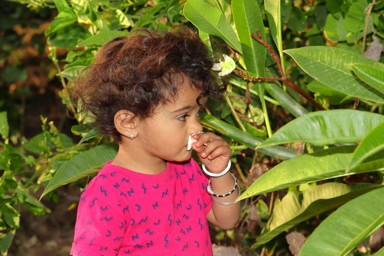 A beautiful indian child smells a white jasmine or champa flower in the garden, india