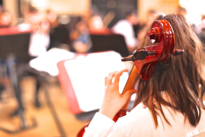 Rear view of a woman playing musical instrument