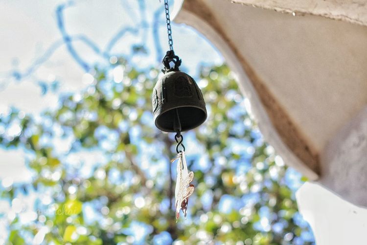 Low angle view of bell hanging on tree
