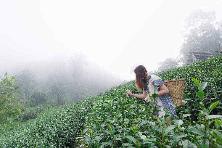Woman wearing sunglasses on plants during rainy season