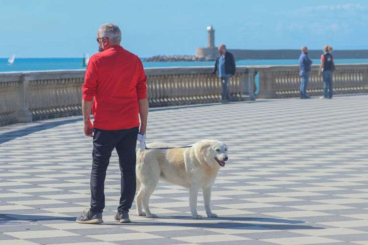 Full length of dog on shore against sky