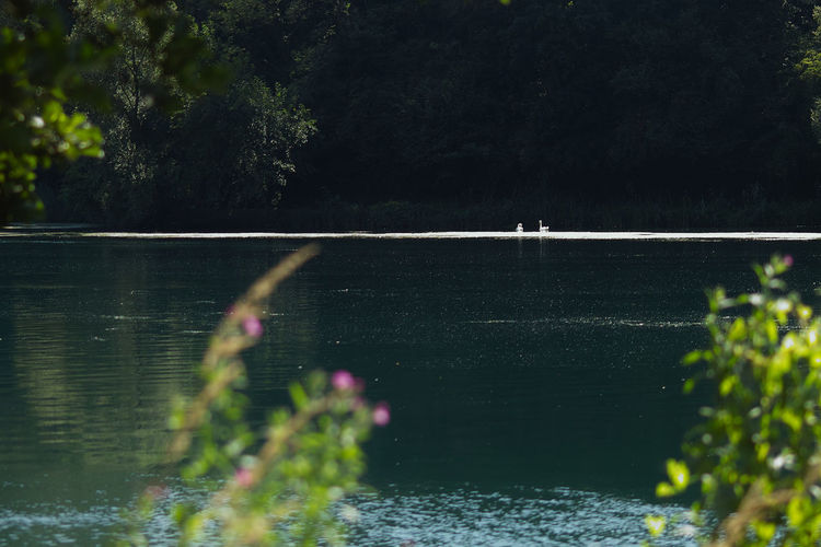 Scenic view of lake