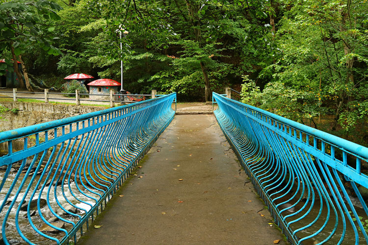 Footbridge over footpath amidst trees in forest