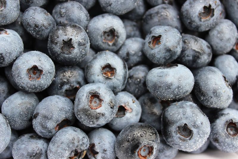 Detail shot of blackberries