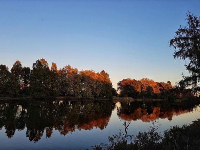 Reflection of trees in lake against sky during autumn