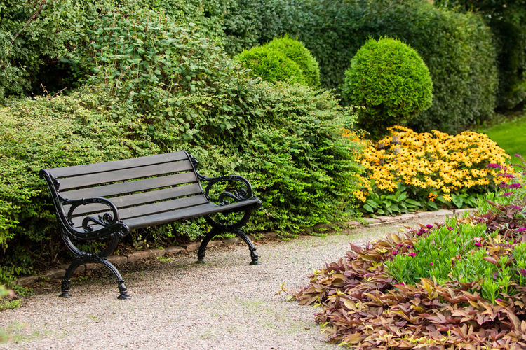 Empty bench in park