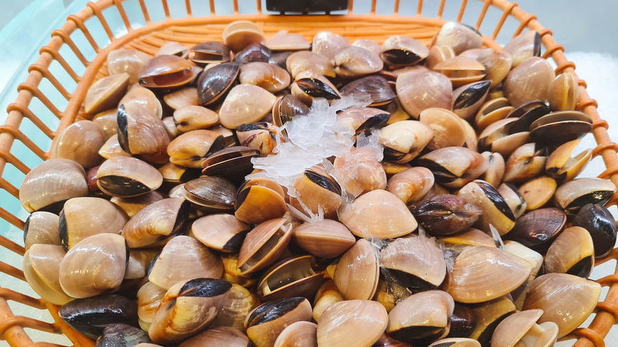 Full frame shot of mussels in wicker