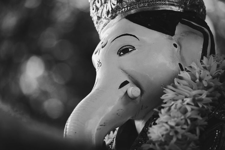 Close-up of ganesha statue