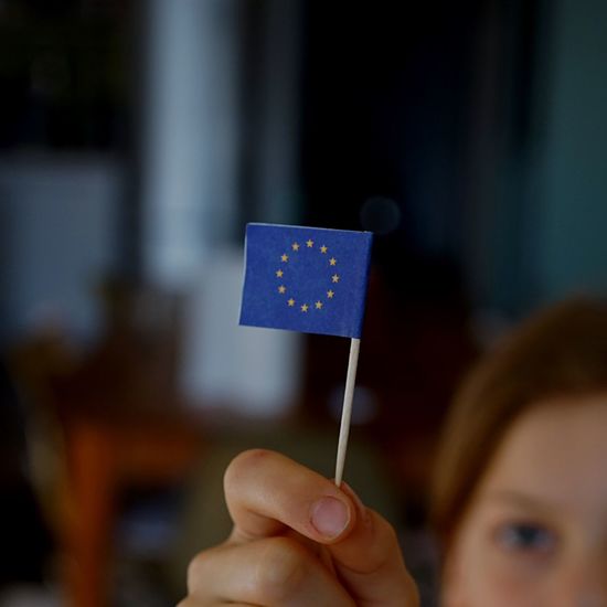 Cropped image of person holding small european flag