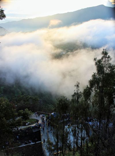 High angle view of trees and mountains against sky