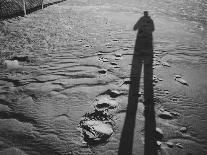 High angle view of shadow on wet shore