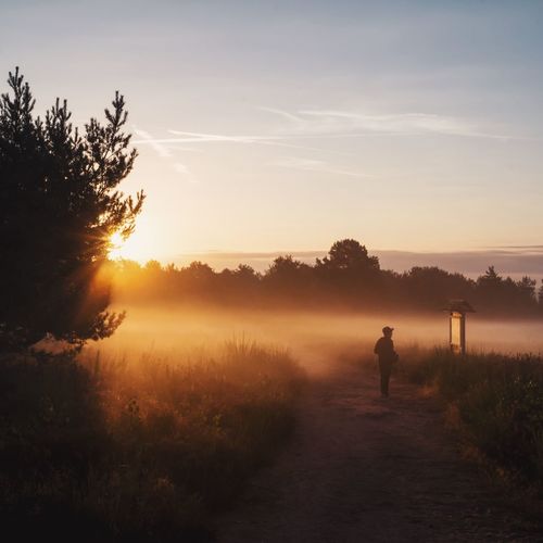 Silhouette person standing on dirt road amidst fog during sunrise