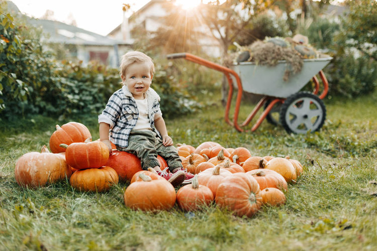 A cheerful boy in a plaid shirt is sitting on a large pile of orange pumpkins and smiling. harvest,