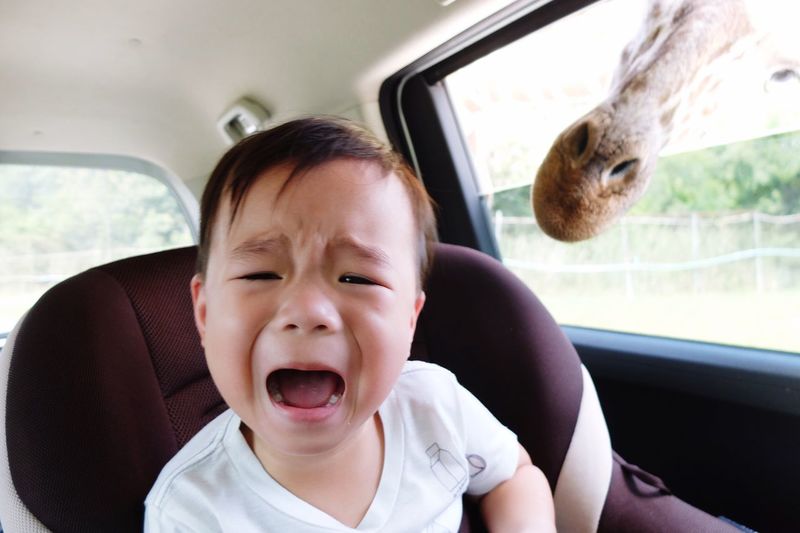 Close-up portrait of baby boy in car