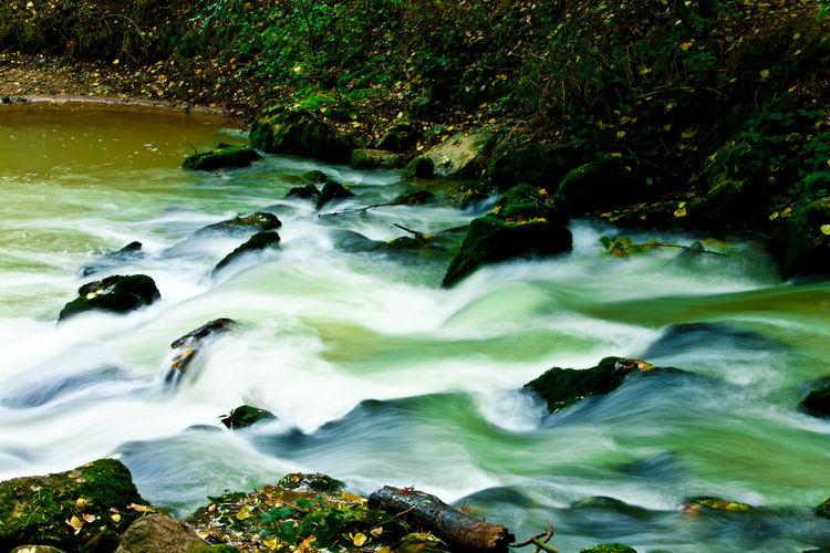 Scenic view of river stream
