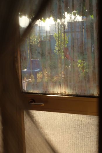 Close-up of window in sunlight