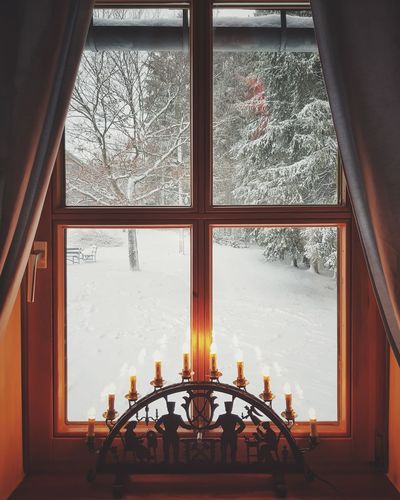 Bare trees seen through glass window of building