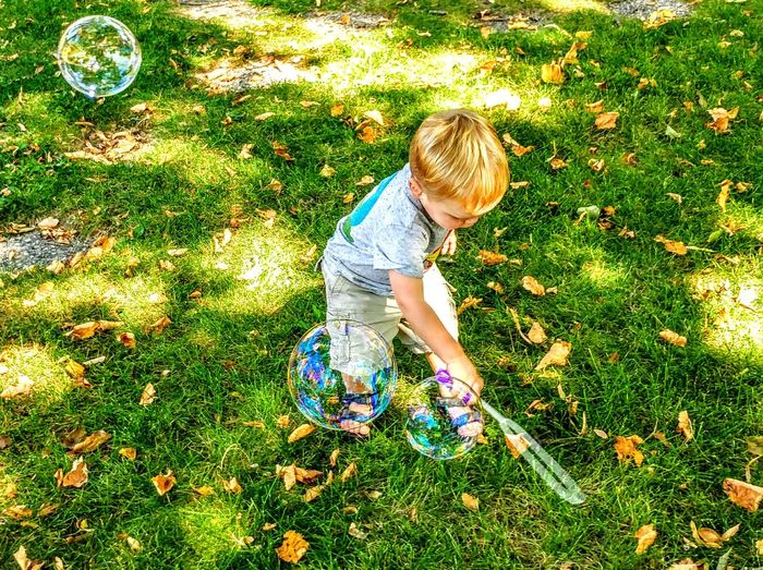High angle view of boy making bubbles on grassy field