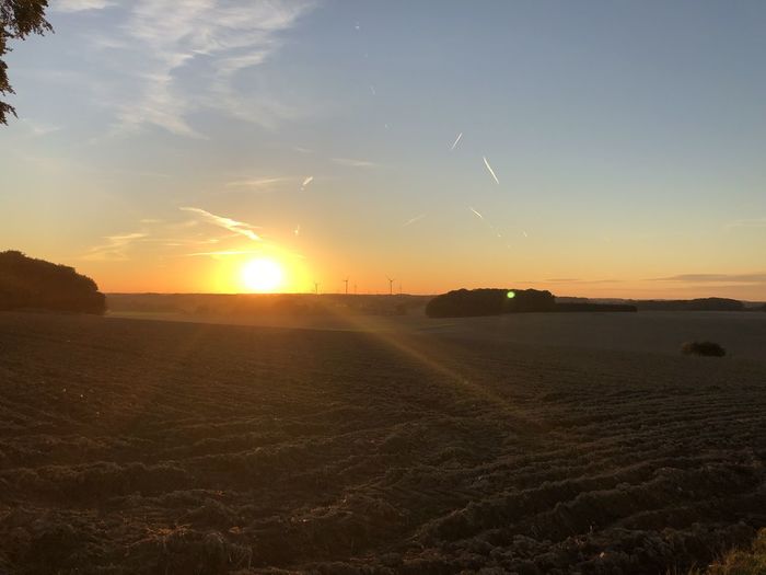 Scenic view of sunset over land