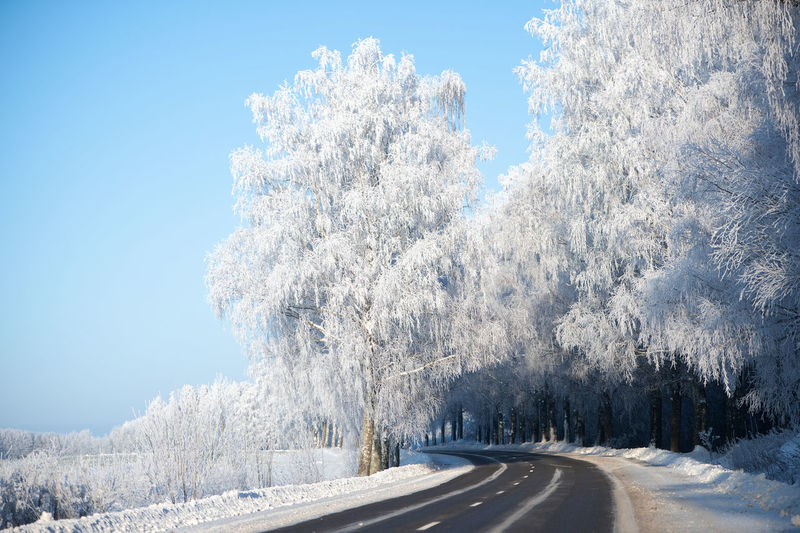 winter