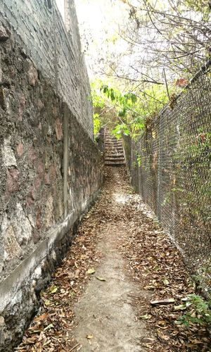 Narrow walkway leading to footpath