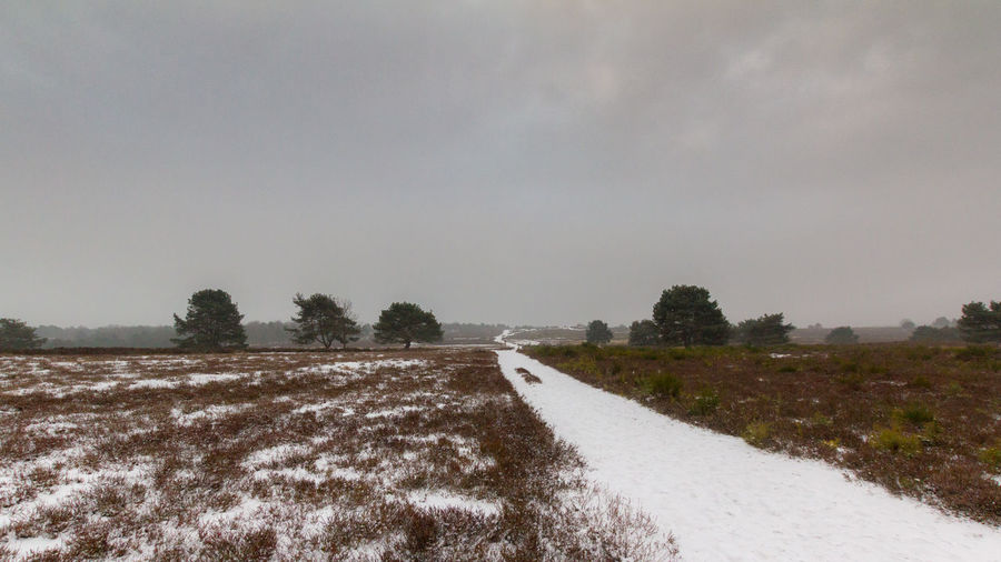 Empty road amidst field against sky