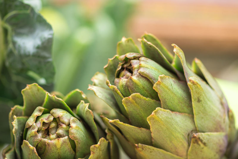 Fresh green artichokes with green leaves in a street food market, close up