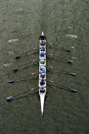 An eight person shell with a coxswain rowing in races on lake washington.