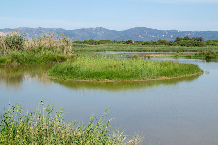 Scenic view of lake against sky