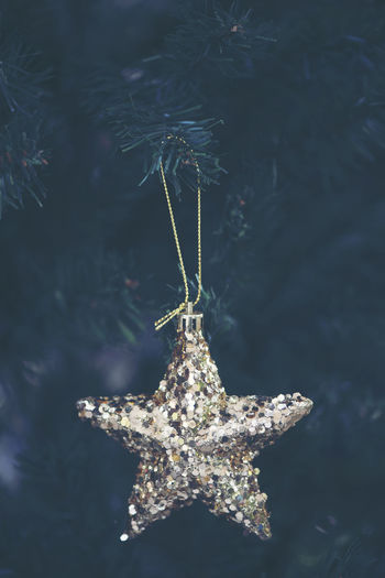 Close-up of christmas ornament hanging on tree