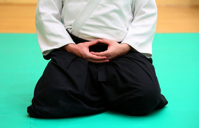 Midsection of man practicing aikido in dojo