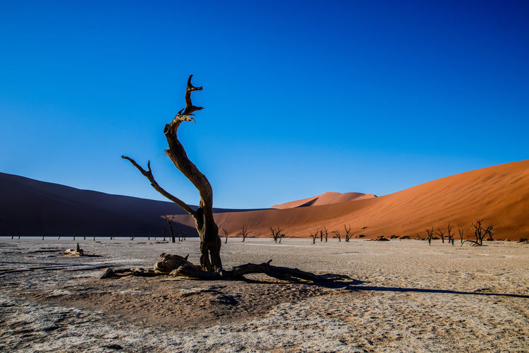 Namib desert