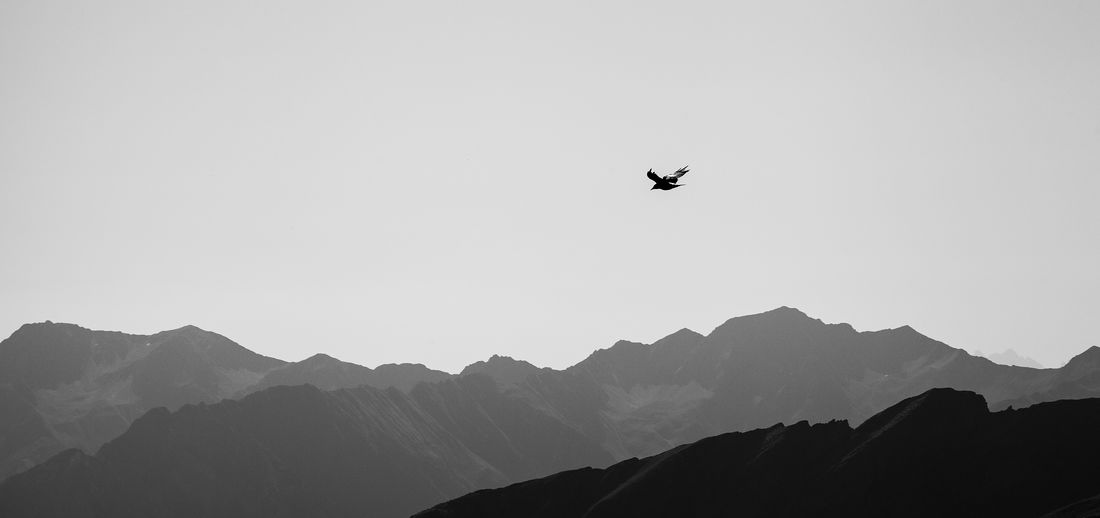 Low angle view of silhouette bird flying in mountains against clear sky
