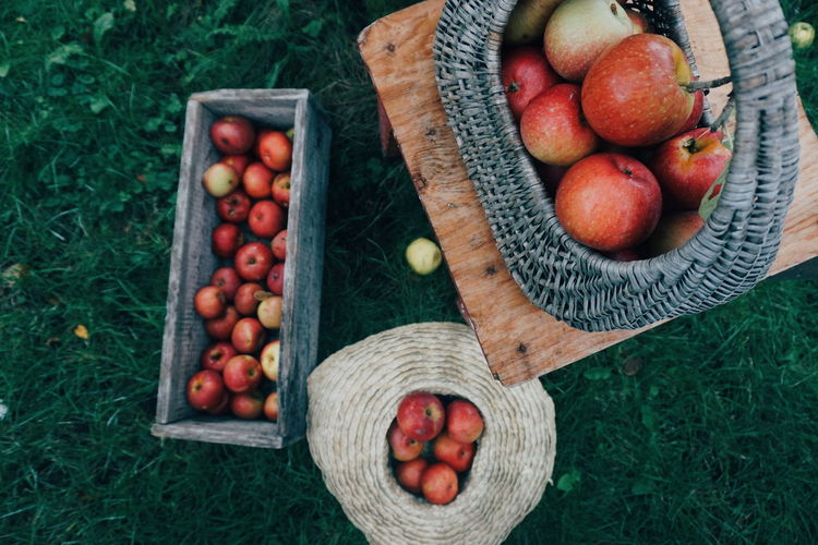High angle view of apples in containers on field