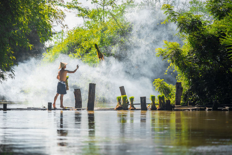 Farmer throwing grass while standing on pier over lake