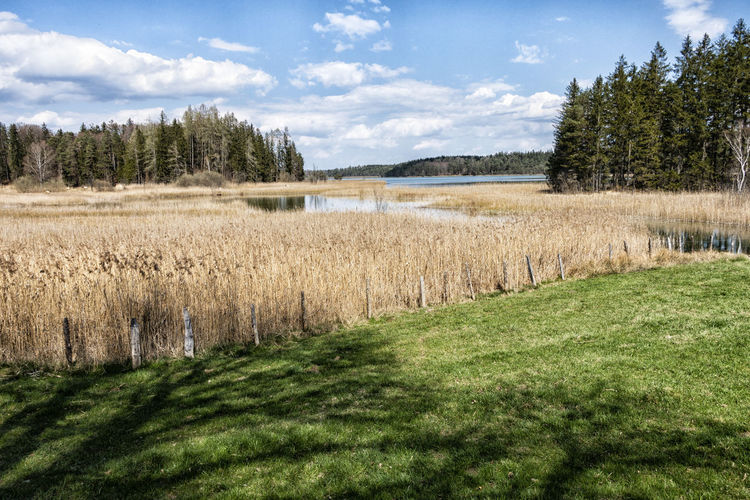 Großer ostersee bei iffeldorf in oberbayern  - great easter lake in upper bavaria germany