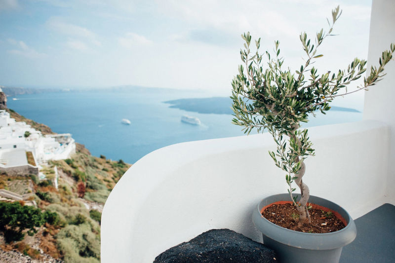 High angle view of potted plant against sea