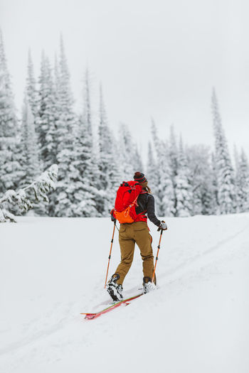 Lone skier skins across a snowfield in a snowy wyoming landscape